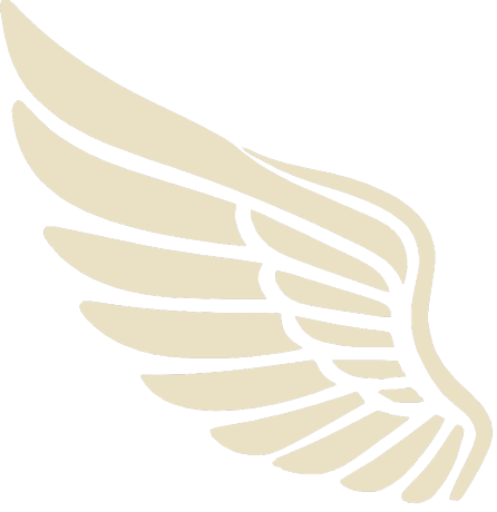 Wing Left